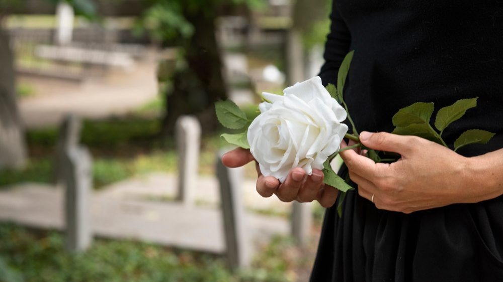 advogado especialista pensao por morte